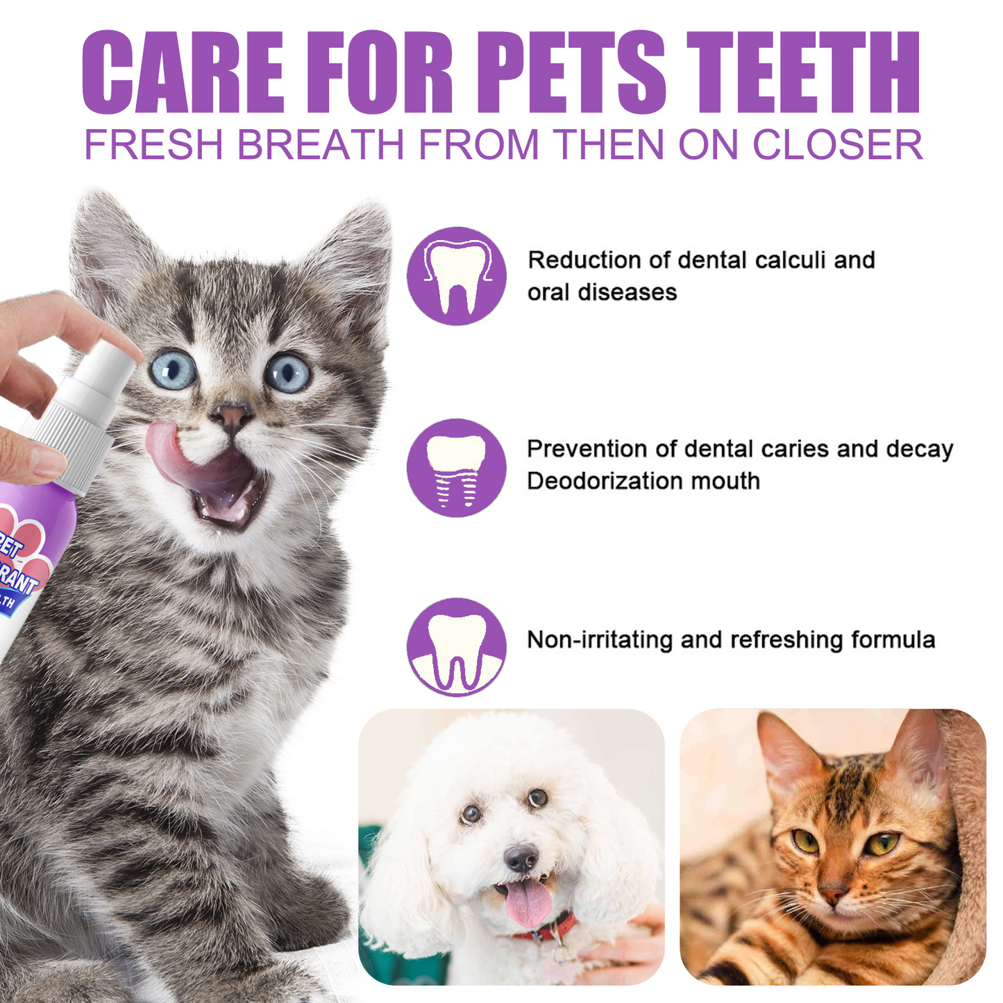 Healrize® Teeth Cleaning Spray for Dogs & Cats, Eliminate Bad Breath, Targets Tartar & Plaque, Without Brushing🎁